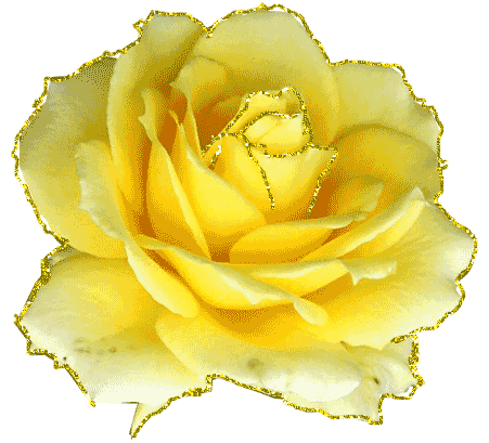 une fleur rose